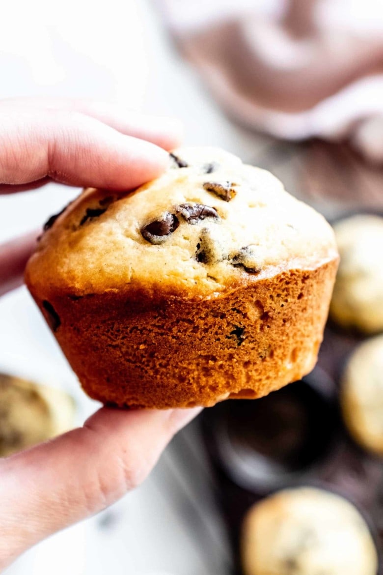 close up of chocolate chip muffin