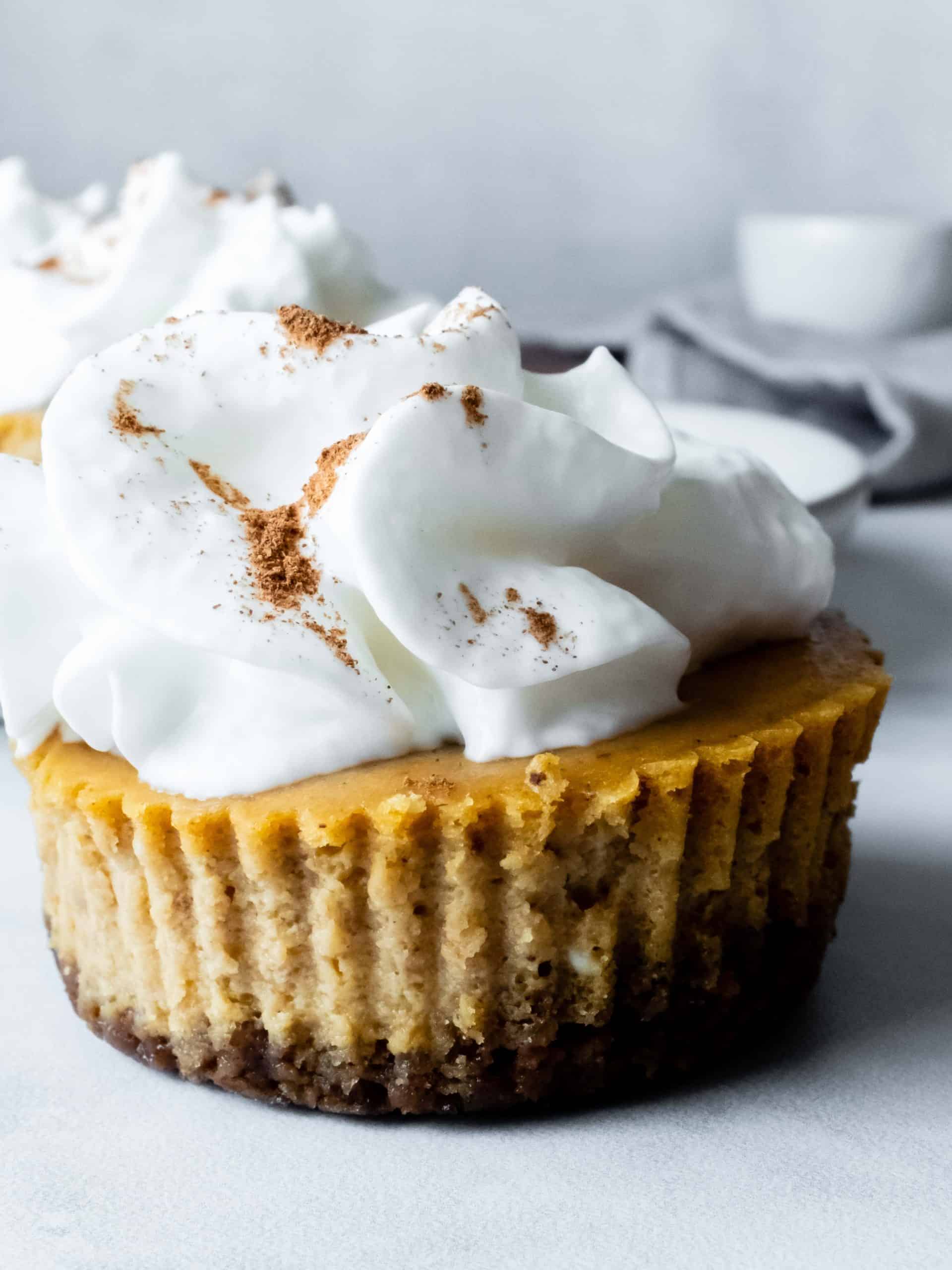 pumpkin cheesecake cupcakes topped with whipped cream