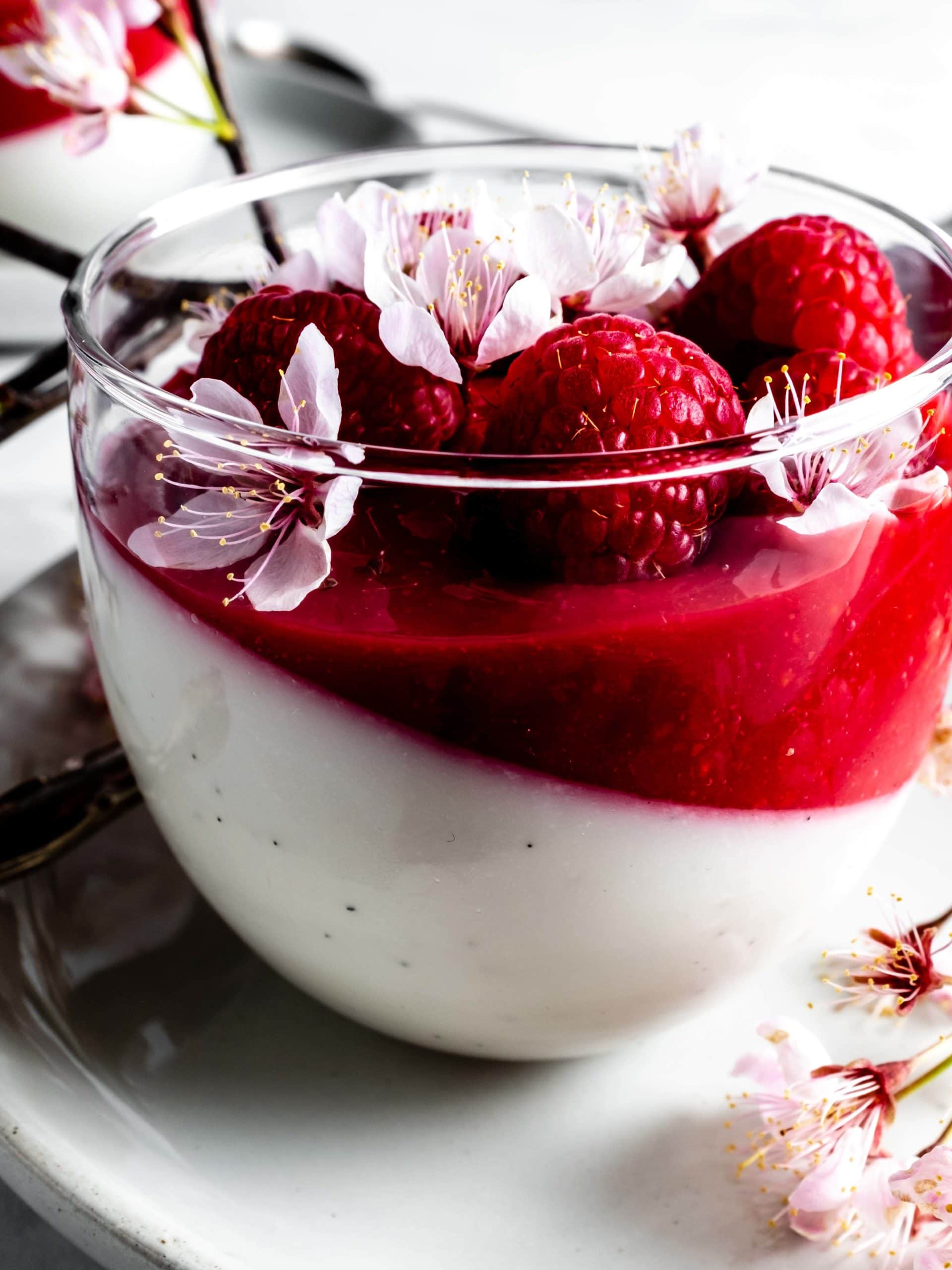cup of panna cotta and raspberry coulis topped with raspberries