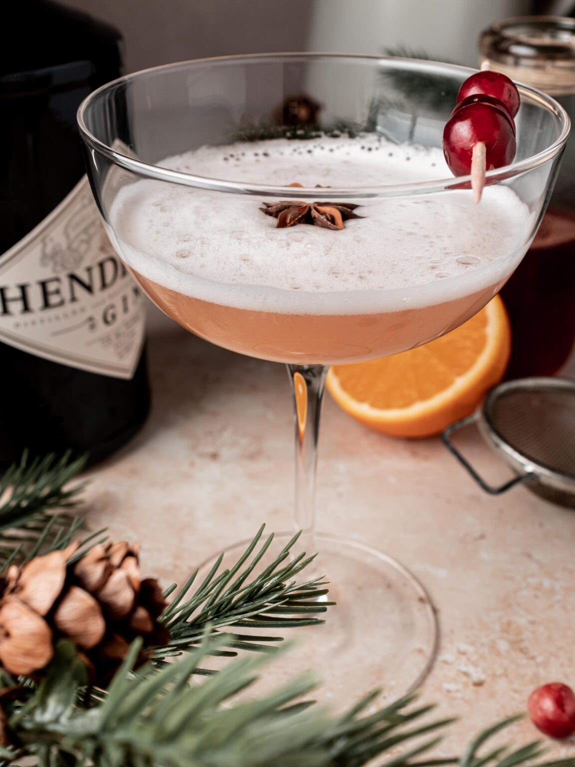 Gin Fizz Cocktail Recipe with Cranberry and Orange Whisked Away Kitchen