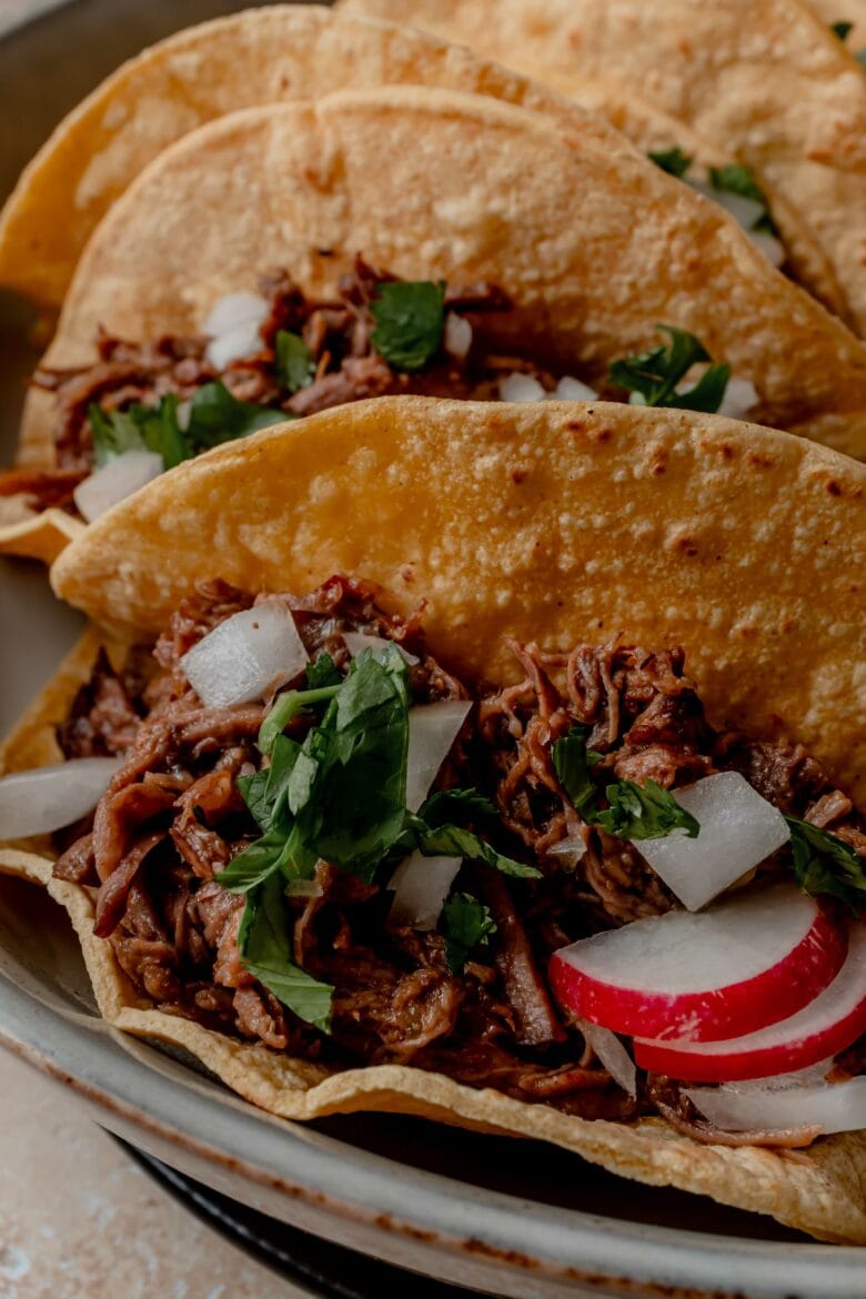 Close up of taco with beef, cilantro and onion.